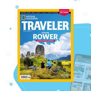 Traveler