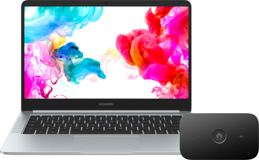 Huawei MateBook D 14' + router E5573Cs