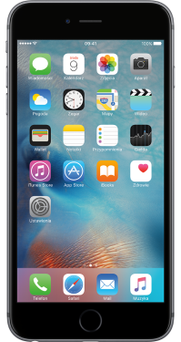 Apple iPhone 6s Plus 64 GB OUTLET