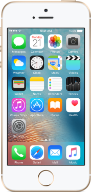 Apple iPhone SE 64 GB OUTLET